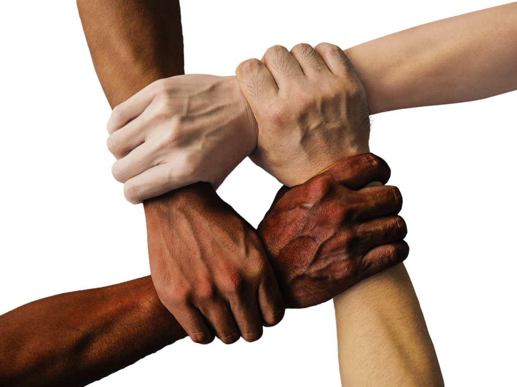 image of hands of different nationalities holding each other. Image by 🆓 Use at your Ease 👌🏼 from Pixabay